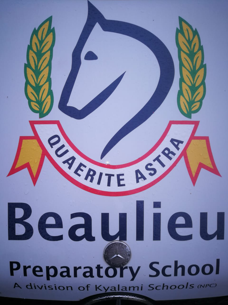 WhatsApp Image 2019-12-05 at 11.52.26 AM.jpeg