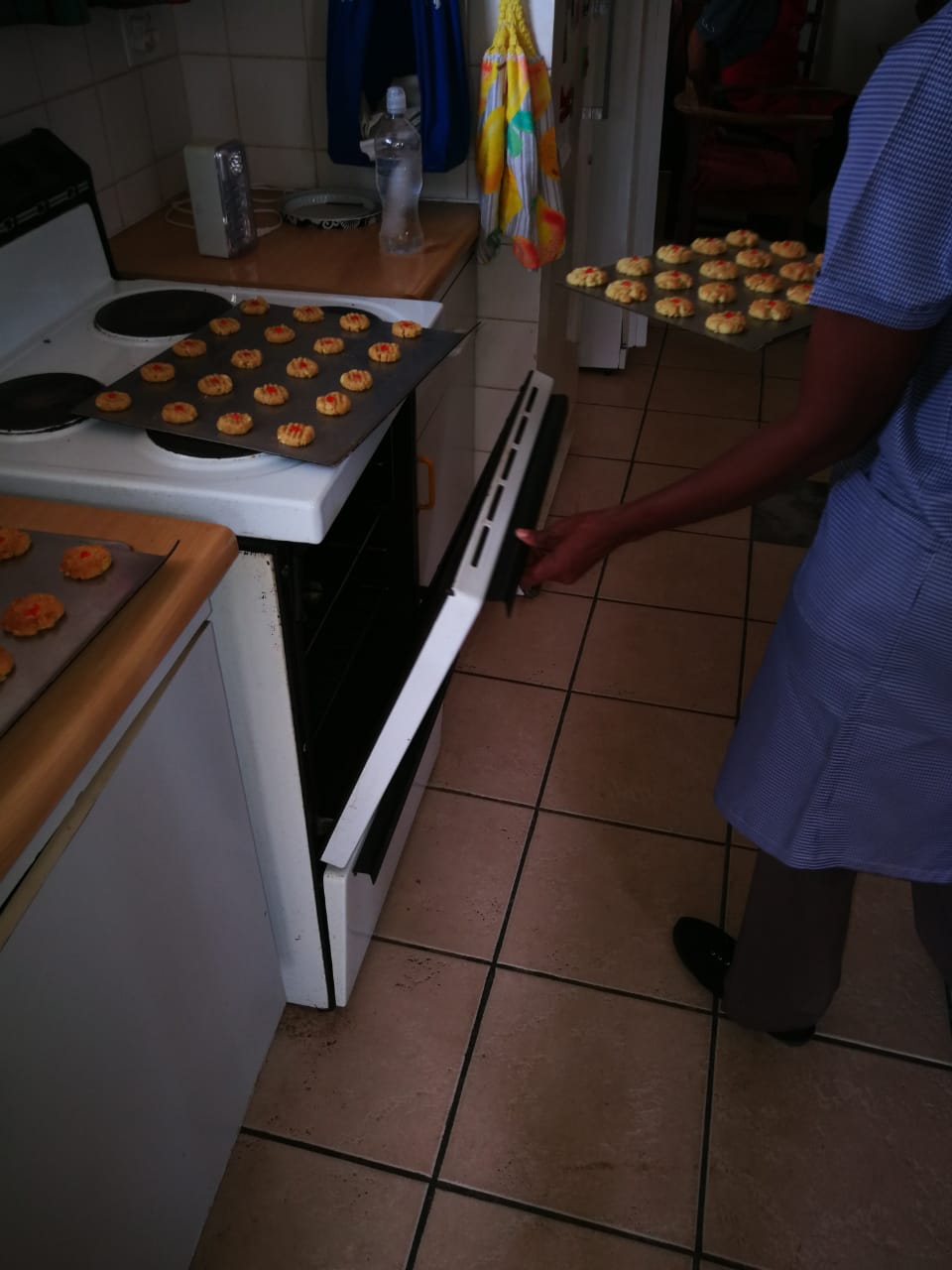 WhatsApp Image 2019-11-20 at 1.29.14 PM(1).jpeg