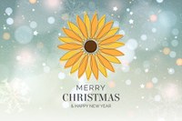 Happy Holidays from the Cluny Farm Board of Directors