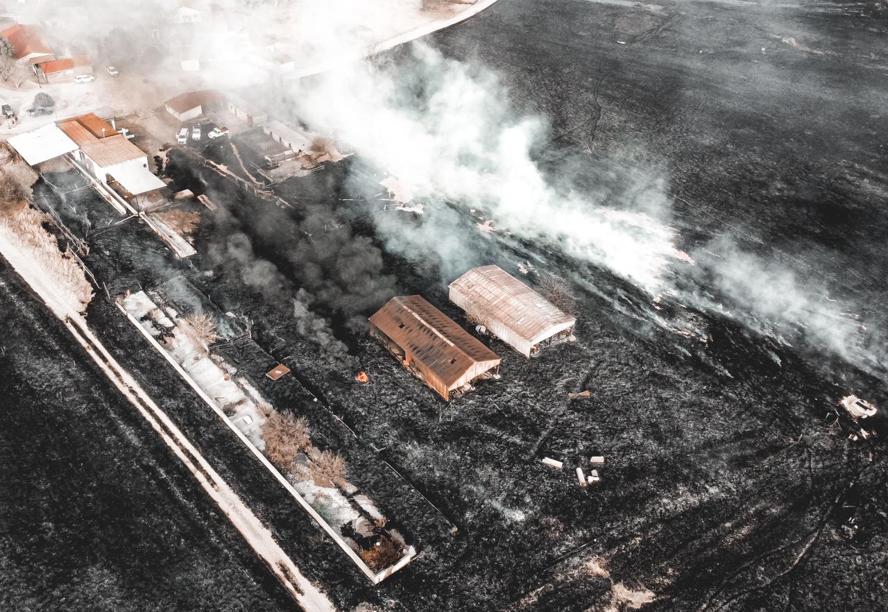 WhatsApp Image 2021-08-16 at 06.53.33.jpeg