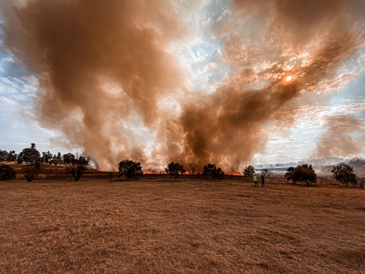 WhatsApp Image 2021-08-16 at 06.53.34 (1).jpeg