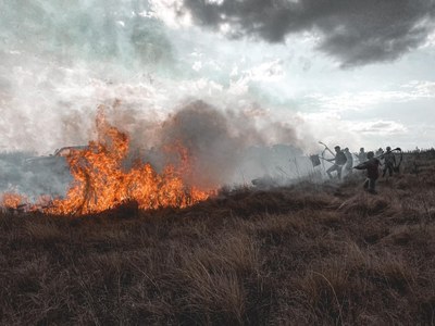 WhatsApp Image 2021-08-16 at 06.53.35.jpeg