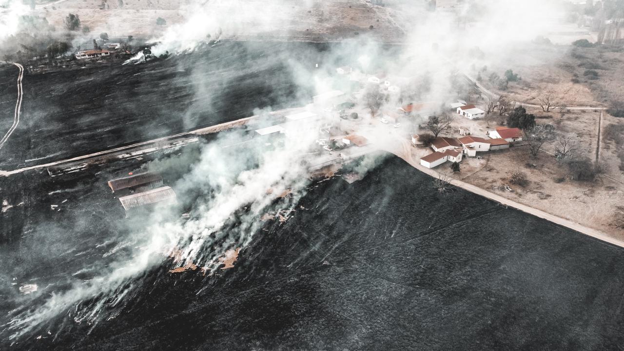 WhatsApp Image 2021-08-16 at 06.53.36.jpeg