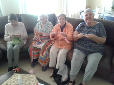 Here are a few pictures of what we've been getting up to ...